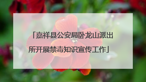 嘉祥县公安局卧龙山派出所开展禁毒知识宣传工作