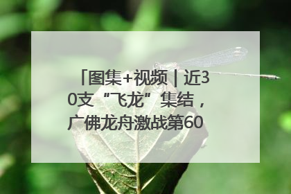 图集+视频｜近30支“飞龙”集结，广佛龙舟激战第60届荔湾“沙溪景”