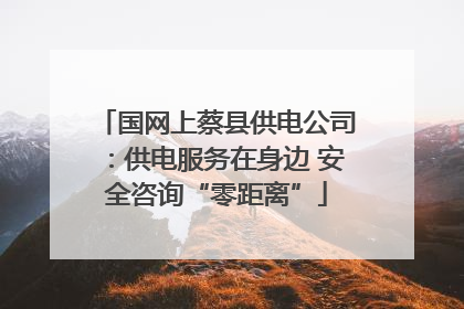 国网上蔡县供电公司：供电服务在身边 安全咨询“零距离”