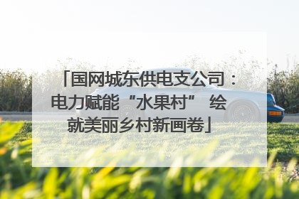 国网城东供电支公司：电力赋能“水果村” 绘就美丽乡村新画卷