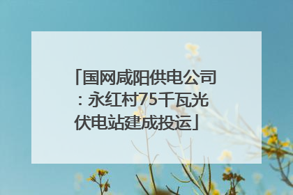 国网咸阳供电公司：永红村75千瓦光伏电站建成投运