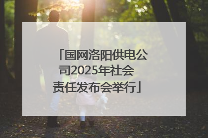 国网洛阳供电公司2025年社会责任发布会举行