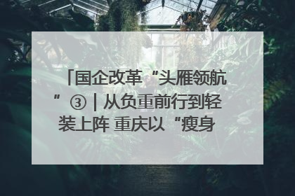 国企改革“头雁领航”③｜从负重前行到轻装上阵 重庆以“瘦身”谋“健体”