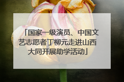 国家一级演员、中国文艺志愿者丁柳元走进山西大同开展助学活动