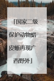 国家二级保护动物蜡皮蜥再现广西野外