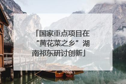 国家重点项目在“黄花菜之乡”湖南祁东研讨创新