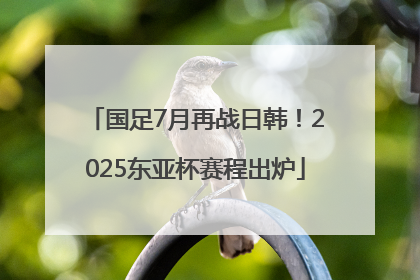 国足7月再战日韩！2025东亚杯赛程出炉