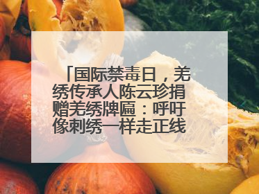 国际禁毒日，羌绣传承人陈云珍捐赠羌绣牌匾：呼吁像刺绣一样走正线、走正针
