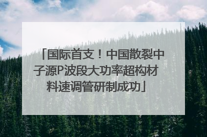 国际首支！中国散裂中子源P波段大功率超构材料速调管研制成功