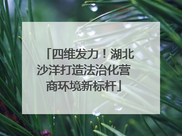 四维发力！湖北沙洋打造法治化营商环境新标杆
