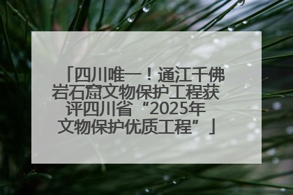四川唯一！通江千佛岩石窟文物保护工程获评四川省“2025年文物保护优质工程”