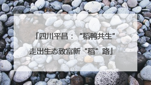 四川平昌：“稻鸭共生”走出生态致富新“稻”路