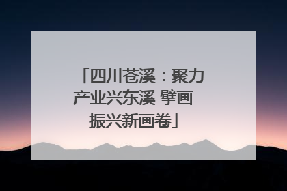 四川苍溪：聚力产业兴东溪 擘画振兴新画卷