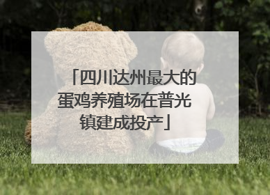 四川达州最大的蛋鸡养殖场在普光镇建成投产