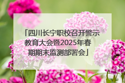 四川长宁职校召开警示教育大会暨2025年春期期末监测部署会
