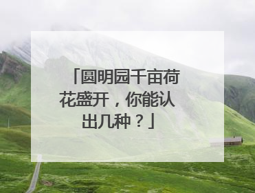 圆明园千亩荷花盛开，你能认出几种？