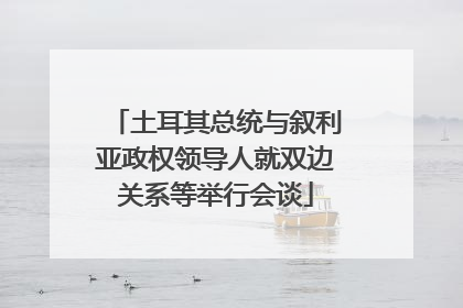 土耳其总统与叙利亚政权领导人就双边关系等举行会谈