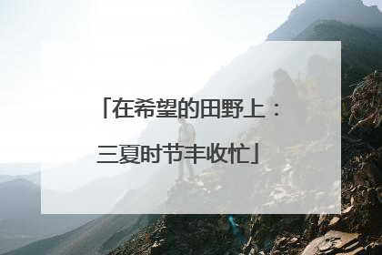 在希望的田野上：三夏时节丰收忙