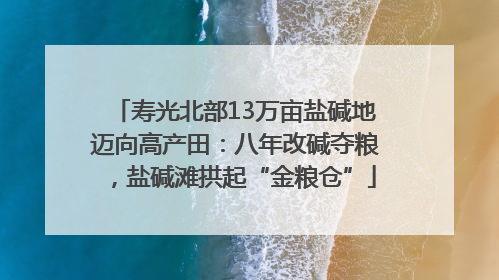 寿光北部13万亩盐碱地迈向高产田：八年改碱夺粮，盐碱滩拱起“金粮仓”