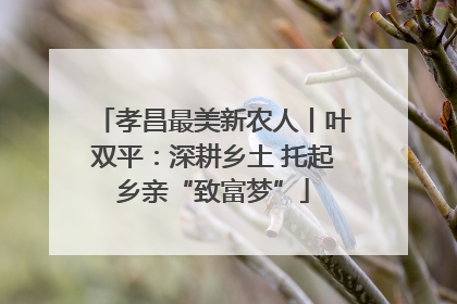 孝昌最美新农人丨叶双平：深耕乡土 托起乡亲“致富梦”