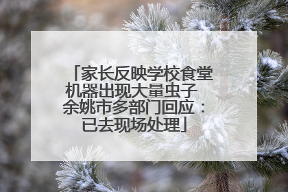 家长反映学校食堂机器出现大量虫子 余姚市多部门回应：已去现场处理