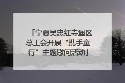 宁夏吴忠红寺堡区总工会开展“携手童行”主题慰问活动