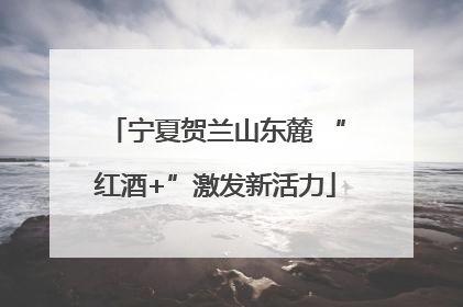 宁夏贺兰山东麓 “红酒+”激发新活力