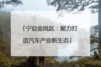 宁夏金凤区：聚力打造汽车产业新生态