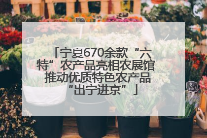 宁夏670余款“六特”农产品亮相农展馆 推动优质特色农产品“出宁进京”