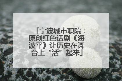 宁波城市职院：原创红色话剧《海波平》让历史在舞台上“活”起来