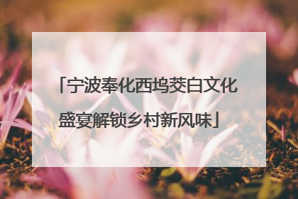 宁波奉化西坞茭白文化盛宴解锁乡村新风味