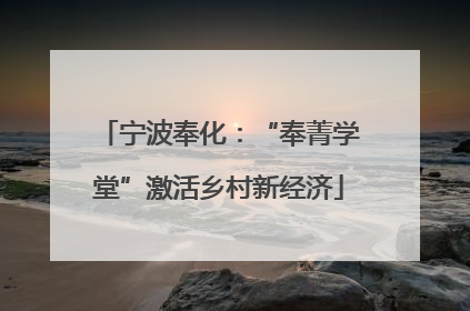 宁波奉化：“奉菁学堂”激活乡村新经济