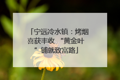 宁远冷水镇：烤烟喜获丰收 “黄金叶”铺就致富路