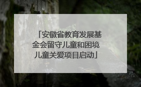 安徽省教育发展基金会留守儿童和困境儿童关爱项目启动