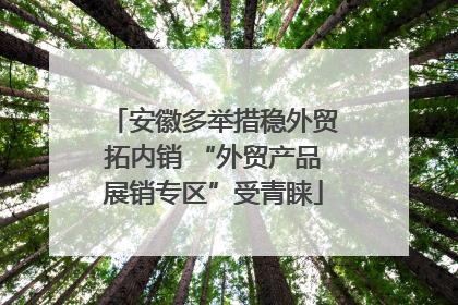 安徽多举措稳外贸拓内销 “外贸产品展销专区”受青睐