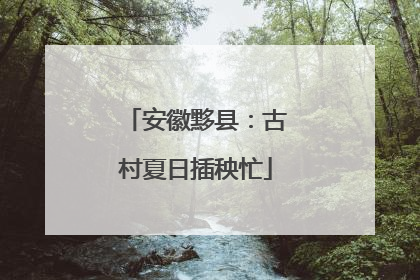 安徽黟县：古村夏日插秧忙