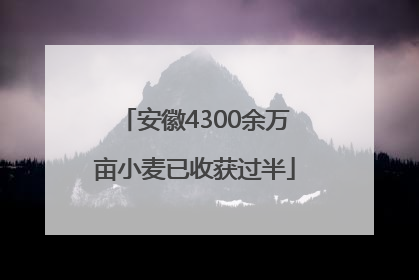 安徽4300余万亩小麦已收获过半