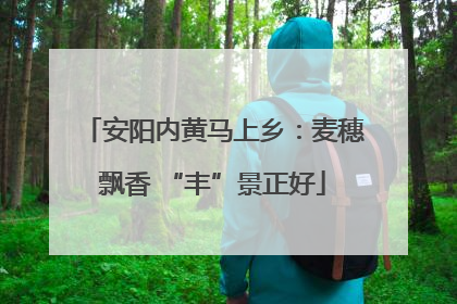 安阳内黄马上乡：麦穗飘香 “丰”景正好