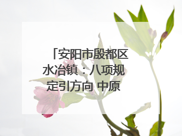 安阳市殷都区水冶镇：八项规定引方向 中原第一镇谱新章