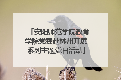 安阳师范学院教育学院党委赴林州开展系列主题党日活动