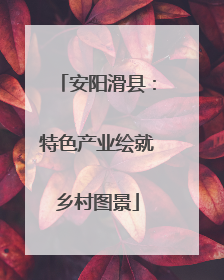 安阳滑县：特色产业绘就乡村图景