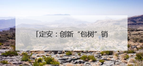 定安：创新“包树”销售等模式，助力荔枝产业转型升级和品牌打造