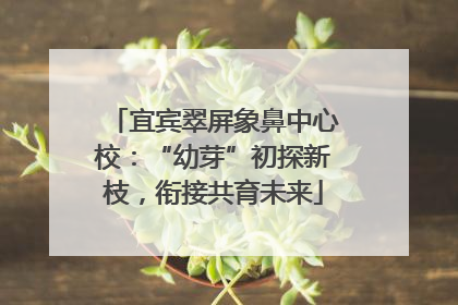 宜宾翠屏象鼻中心校：“幼芽”初探新枝，衔接共育未来