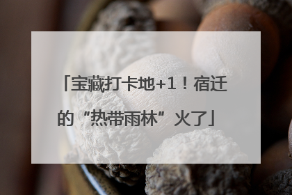 宝藏打卡地+1！宿迁的“热带雨林”火了