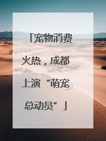 宠物消费火热，成都上演“萌宠总动员”