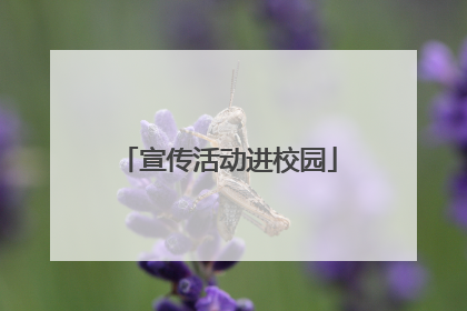 宣传活动进校园