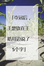 夺冠后，王楚钦在王皓耳边说了5个字