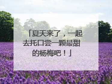 夏天来了，一起去托口尝一颗最甜的杨梅吧！