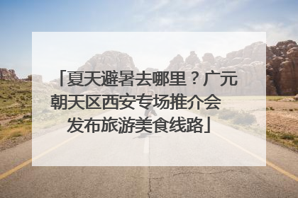 夏天避暑去哪里？广元朝天区西安专场推介会 发布旅游美食线路