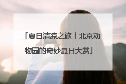 夏日清凉之旅丨北京动物园的奇妙夏日大赏